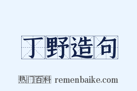 丁野造句是什么意思的图片